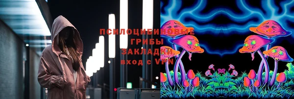 соль ск Вяземский