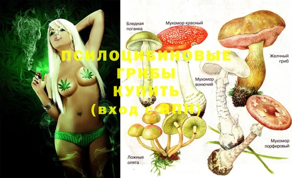 spice Вязьма