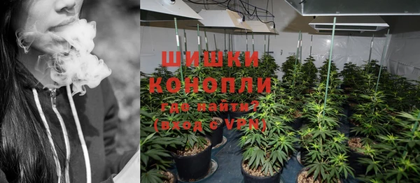 сатива Вязники