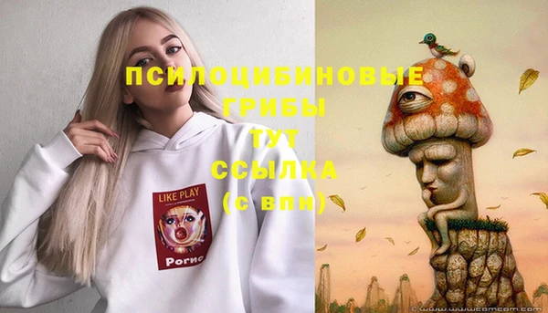 сатива Вязники