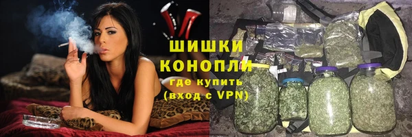 spice Вязьма