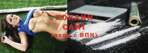 сатива Вязники