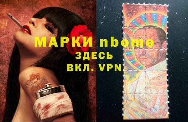 соль ск Вяземский