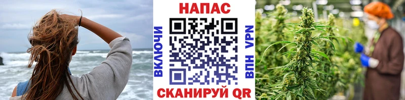 Бошки Шишки VHQ  Купить закладки  Венёв 